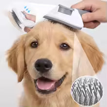 Cepillo Autolímpiale para Mascotas